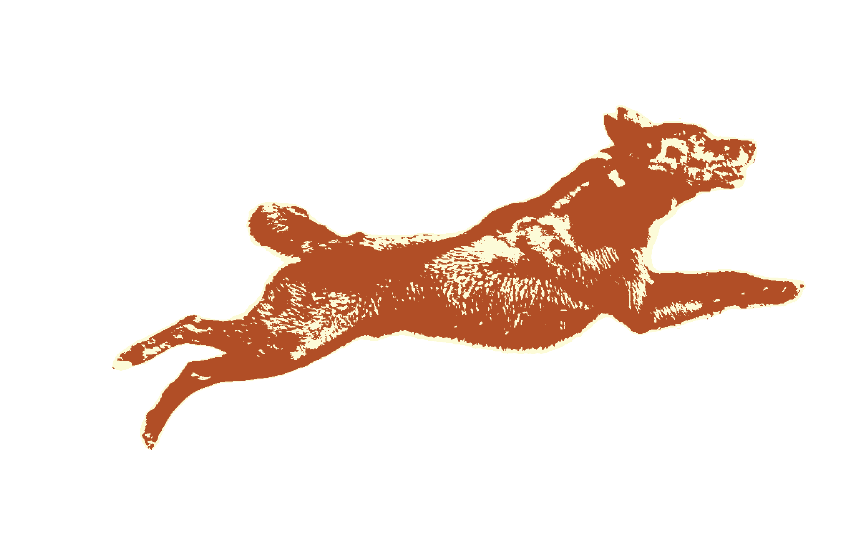 The Cattledogs — dog icon mark
