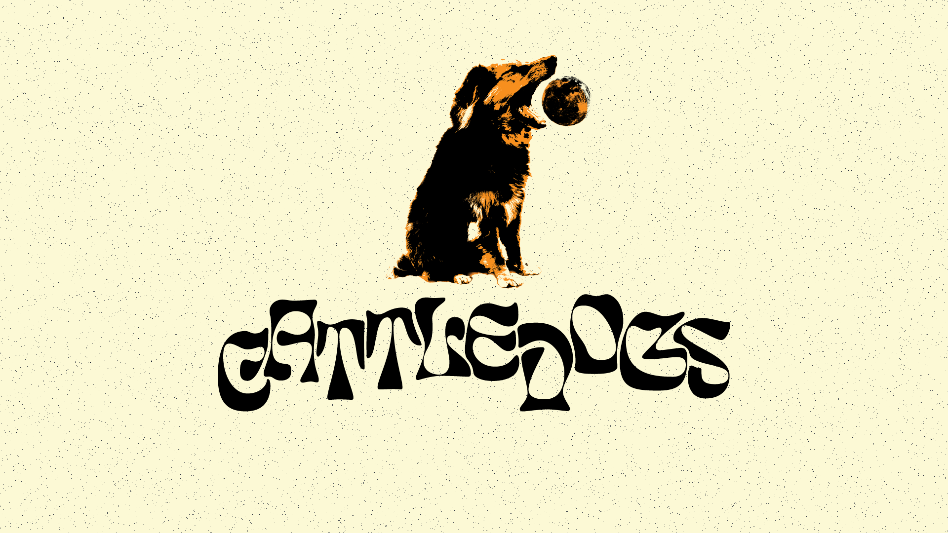 The Cattledogs