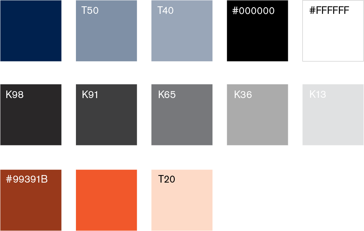 Rocky Mountain Mavericks color palette